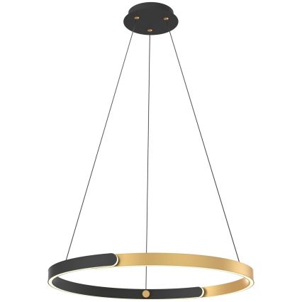 Zuma Line - Lustre LED dimmerável suspenso em cabo LED/30W/230V preto/dourado