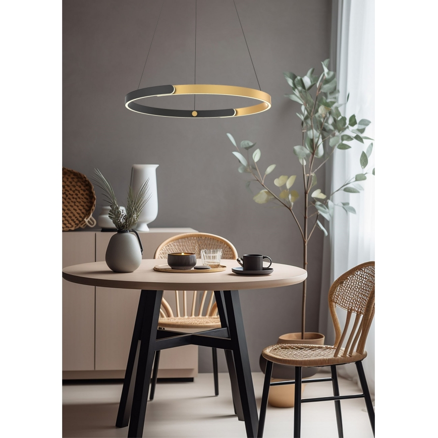 Zuma Line - Lustre LED dimmerável suspenso em cabo LED/30W/230V preto/dourado