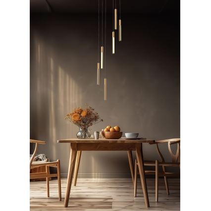 Zuma Line - Lustre LED regulável com cabo LED/25W/230V