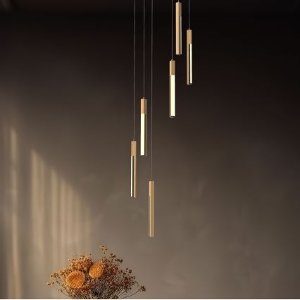 Zuma Line - Lustre LED regulável com cabo LED/25W/230V