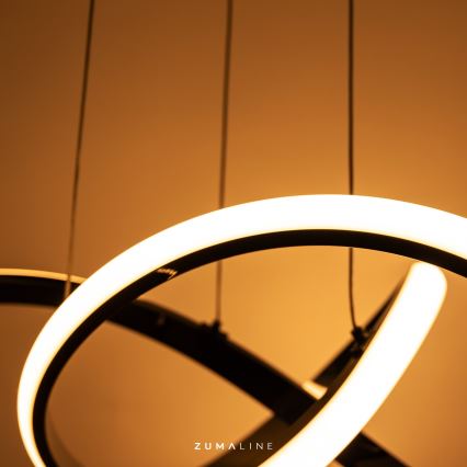 Zuma Line - Lustre LED regulável em cabo LED/44W/230V preto