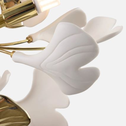 Zuma Line - Lustre de teto de montagem superficial 6xG9/42W/230V Ø 70 cm dourado