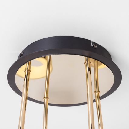 Zuma Line - Lustre de teto LED regulável de montagem superficial LED/60W/230V dourado/preto