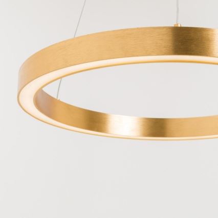 Zuma Line - Candelabro suspenso LED 1xLED/30W/230V 40 cm dourado