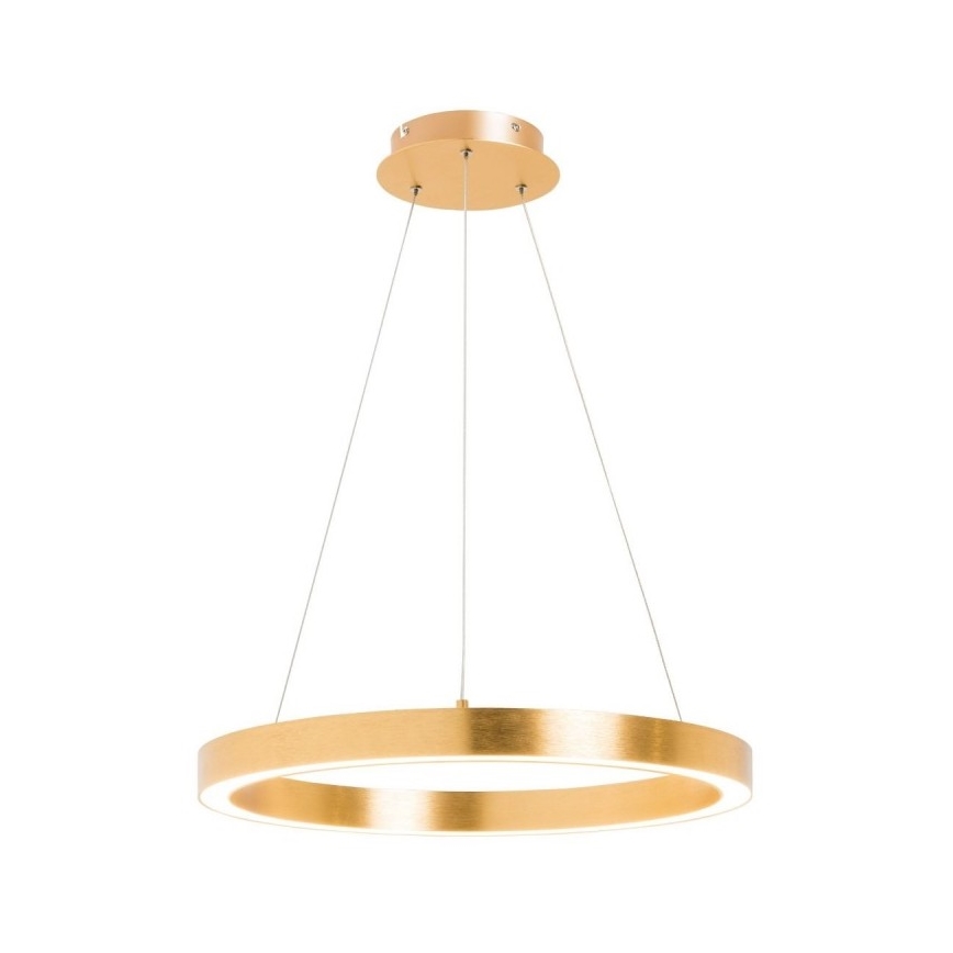 Zuma Line - Candelabro suspenso LED 1xLED/40W/230V d. 50 cm dourado