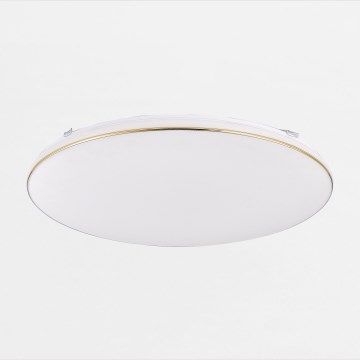 Zuma Line - Plafon LED dimmerizável OMAR LED/48W/230V diâmetro 53 cm dourado