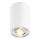 Zuma Line - Spot de teto 1xGU10/50W/230V branco