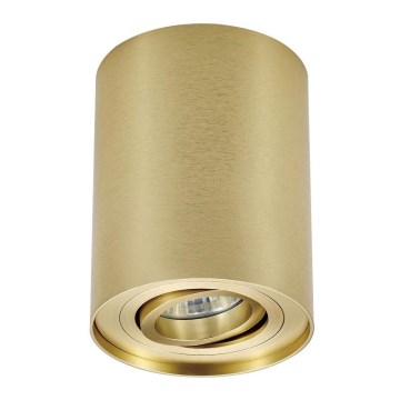 Zuma Line - Spot de teto 1xGU10/50W/230V dourado