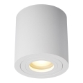 Zuma Line - Spot de teto 1xGU10/50W/230V IP44 branco