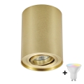 Zuma Line - Spot LED RGBW regulável 1xGU10/4,8W/230V dourado + comando remoto